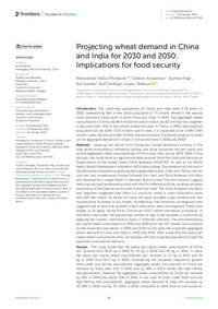 Projecting wheat demand in China and India for 2030 and 2050: Implications for food security