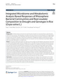 Integrated Microbiome and Metabolomic Analysis Reveal Responses of Rhizosphere Bacterial Communities and Root exudate Composition to Drought and Genotype in Rice (Oryza sativa L.) Integrated Microbiome and Metabolomic Analysis Reveal Responses of Rhizosphere Bacterial Communities and Root exudate Composition to Drought and Genotype in Rice (Oryza sativa L.)