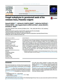 Fungal endophytes in germinated seeds of the common bean, Phaseolus vulgaris Fungal endophytes in germinated seeds of the common bean, Phaseolus vulgaris