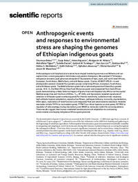 Anthropogenic events and responses to environmental stress are shaping the genomes of Ethiopian indigenous goats Anthropogenic events and responses to environmental stress are shaping the genomes of Ethiopian indigenous goats