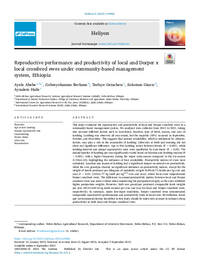 Reproductive performance and productivity of local and Dorper x local crossbred ewes under community-based management system, Ethiopia Reproductive performance and productivity of local and Dorper x local crossbred ewes under community-based management system, Ethiopia