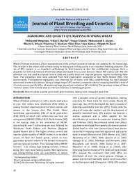 AGRONOMIC AND QUALITY QTL MAPPING IN SPRING WHEAT AGRONOMIC AND QUALITY QTL MAPPING IN SPRING WHEAT