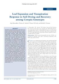 Leaf Expansion and Transpiration Response to Soil Drying and Recovery among Cowpea Genotypes Leaf Expansion and Transpiration Response to Soil Drying and Recovery among Cowpea Genotypes