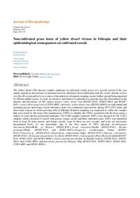 Non-cultivated grass hosts of yellow dwarf viruses in Ethiopia and their epidemiological consequences on cultivated cereals Non-cultivated grass hosts of yellow dwarf viruses in Ethiopia and their epidemiological consequences on cultivated cereals