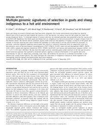 Multiple genomic signatures of selection in goats and sheep indigenous to a hot arid environment