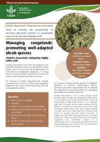 Managing rangelands: promoting well-adapted shrub species: Atriplex leucoclada: mitigating highly saline soils Managing rangelands: promoting well-adapted shrub species: Atriplex leucoclada: mitigating highly saline soils