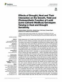 Effect of drought, heat and their interaction on the growth, yield and photosynthetic function of lentil (Lens culinaris Medikus) genotypes varying in heat and drought sensitivity Effect of drought, heat and their interaction on the growth, yield and photosynthetic function of lentil (Lens culinaris Medikus) genotypes varying in heat and drought sensitivity