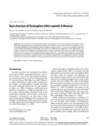 Race structure of Pyrenophora tritici-repentis in Morocco