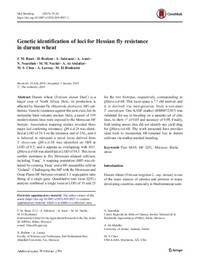 Genetic identification of loci for Hessian fly resistance in durum wheat Genetic identification of loci for Hessian fly resistance in durum wheat