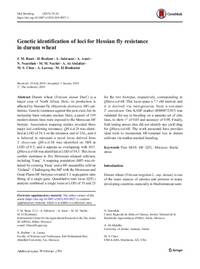 Genetic identification of loci for Hessian fly resistance in durum wheat