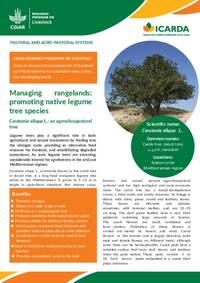 Managing rangelands: promoting native legume tree species, Ceratonia siliqua L.: an agrosilvopastoral tree Managing rangelands: promoting native legume tree species, Ceratonia siliqua L.: an agrosilvopastoral tree