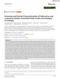 Detection and Partial Characterization of Polerovirus and Luteovirus Isolates Associated With Lentil and Chickpea in Ethiopia Detection and Partial Characterization of Polerovirus and Luteovirus Isolates Associated With Lentil and Chickpea in Ethiopia