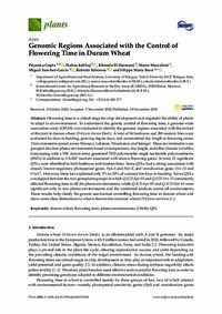 Genomic Regions Associated with the Control of Flowering Time in Durum Wheat