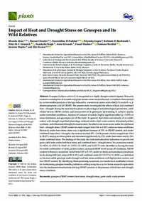 Impact of Heat and Drought Stress on Grasspea and Its Wild Relatives Impact of Heat and Drought Stress on Grasspea and Its Wild Relatives