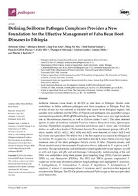 Defining Soilborne Pathogen Complexes Provides a New Foundation for the Effective Management of Faba Bean Root Diseases in Ethiopia Defining Soilborne Pathogen Complexes Provides a New Foundation for the Effective Management of Faba Bean Root Diseases in Ethiopia
