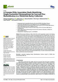 A Genome-Wide Association Study Identifying Single-Nucleotide Polymorphisms for Iron and Zinc Biofortification in a Worldwide Barley Collection