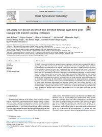 Enhancing rice disease and insect-pest detection through augmented deep learning with transfer learning techniques