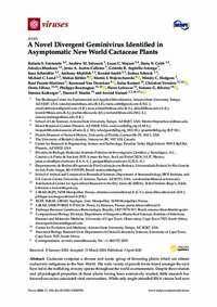 A Novel Divergent Geminivirus Identified in Asymptomatic New World Cactaceae Plants A Novel Divergent Geminivirus Identified in Asymptomatic New World Cactaceae Plants