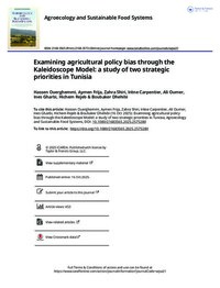 Examining agricultural policy bias through the Kaleidoscope Model: a study of two strategic priorities in Tunisia