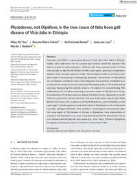 Physoderma, not Olpidium, is the true cause of faba bean gall disease of Vicia faba in Ethiopia Physoderma, not Olpidium, is the true cause of faba bean gall disease of Vicia faba in Ethiopia