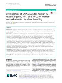 Development of SNP assays for hessian fly response genes, Hfr-1 and Hfr-2, for marker-assisted selection in wheat breeding Development of SNP assays for hessian fly response genes, Hfr-1 and Hfr-2, for marker-assisted selection in wheat breeding