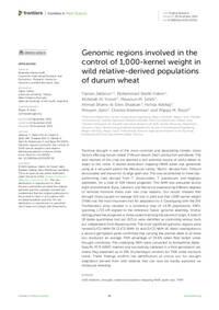 Genomic regions involved in the control of 1,000-kernel weight in wild relative-derived populations of durum wheat Genomic regions involved in the control of 1,000-kernel weight in wild relative-derived populations of durum wheat