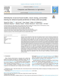 Hybridization of process-based models, remote sensing, and machine learning for enhanced spatial predictions of wheat yield and quality