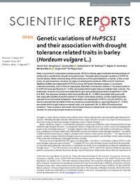 Genetic variations of HvP5CS1 and their association with drought tolerance related traits in barley (Hordeum vulgare L.) Genetic variations of HvP5CS1 and their association with drought tolerance related traits in barley (Hordeum vulgare L.)