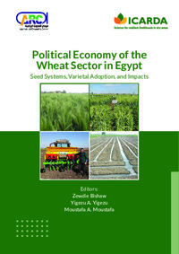 Political Economy of the  Wheat Sector in Egypt: Seed Systems, Varietal Adoption, and Impacts