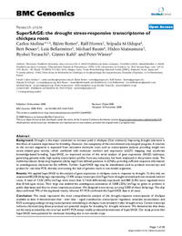 SuperSAGE: the drought stress-responsive transcriptome of chickpea roots SuperSAGE: the drought stress-responsive transcriptome of chickpea roots