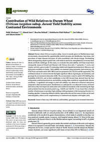 Contribution of Wild Relatives to Durum Wheat (Triticum turgidum subsp. durum) Yield Stability across Contrasted Environments