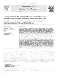 Advantageous spike-to-stem competition for assimilates contributes to the reduction in grain number loss in wheat spikes under water deficit stress Advantageous spike-to-stem competition for assimilates contributes to the reduction in grain number loss in wheat spikes under water deficit stress
