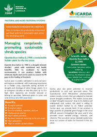 Managing rangelands: promoting sustainable shrub species: Opuntia ficus-indica (L.) Mill: a sustainable fodder plant for the dry areas Managing rangelands: promoting sustainable shrub species: Opuntia ficus-indica (L.) Mill: a sustainable fodder plant for the dry areas
