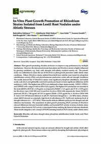 In-Vitro Plant Growth Promotion of Rhizobium Strains Isolated from Lentil Root Nodules under Abiotic Stresses In-Vitro Plant Growth Promotion of Rhizobium Strains Isolated from Lentil Root Nodules under Abiotic Stresses