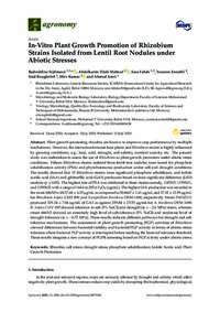 In-Vitro Plant Growth Promotion of Rhizobium Strains Isolated from Lentil Root Nodules under Abiotic Stresses