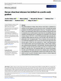 Durum wheat heat tolerance loci defined via a north–south gradient Durum wheat heat tolerance loci defined via a north–south gradient