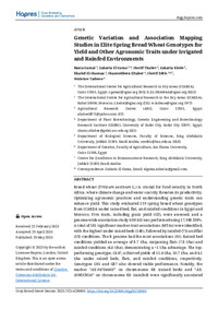 Genetic Variation and Association Mapping Studies in Elite Spring Bread Wheat Genotypes for Yield and Other Agronomic Traits under Irrigated and Rainfed Environments Genetic Variation and Association Mapping Studies in Elite Spring Bread Wheat Genotypes for Yield and Other Agronomic Traits under Irrigated and Rainfed Environments