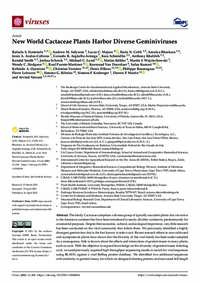 New World Cactaceae Plants Harbor Diverse Geminiviruses New World Cactaceae Plants Harbor Diverse Geminiviruses