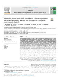 Response of maiden ewes to the ‘ram effect’ is a robust management practice and a candidate selection trait for enhanced reproductive performance in drylands Response of maiden ewes to the ‘ram effect’ is a robust management practice and a candidate selection trait for enhanced reproductive performance in drylands