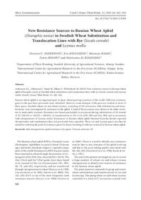 New resistance sources to Russian wheat aphid (Diuraphis noxia) in Swedish wheat substitution and translocation lines with rye (Secale cereale) and Leymus mollis New resistance sources to Russian wheat aphid (Diuraphis noxia) in Swedish wheat substitution and translocation lines with rye (Secale cereale) and Leymus mollis