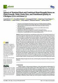 Impact of Terminal Heat and Combined Heat-Drought Stress on Plant Growth, Yield, Grain Size, and Nutritional Quality in Chickpea (Cicer arietinum L.) Impact of Terminal Heat and Combined Heat-Drought Stress on Plant Growth, Yield, Grain Size, and Nutritional Quality in Chickpea (Cicer arietinum L.)