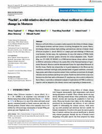 ‘Nachit’, a wild-relative-derived durum wheat resilient to climate change in Morocco ‘Nachit’, a wild-relative-derived durum wheat resilient to climate change in Morocco