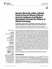 Genetic Diversity within a Global Panel of Durum Wheat (Triticum durum) landraces and Modern Germplasm reveals the History of Alleles Exchange Genetic Diversity within a Global Panel of Durum Wheat (Triticum durum) landraces and Modern Germplasm reveals the History of Alleles Exchange