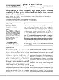 Identification of barley genotypes with higher protein content coupled with bold grains for food and malt barley improvement under sub-tropical climates Identification of barley genotypes with higher protein content coupled with bold grains for food and malt barley improvement under sub-tropical climates