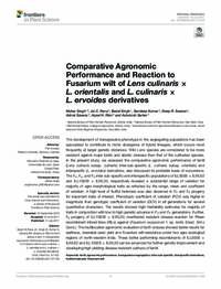 Comparative Agronomy Performance and Reaction to Fusarium Wilt of Lens culinaris X L. orientalis and L. culinaris X L. ervoides derivatives.