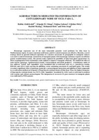 Agrobacterium-mediated transformation of cotyledonary node of Vicia faba L. Agrobacterium-mediated transformation of cotyledonary node of Vicia faba L.