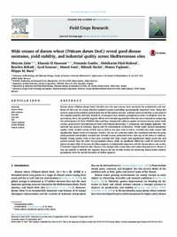 Wide crosses of durum wheat (Triticum durum Desf.) reveal good disease resistance, yield stability, and industrial quality across Mediterranean sites Wide crosses of durum wheat (Triticum durum Desf.) reveal good disease resistance, yield stability, and industrial quality across Mediterranean sites