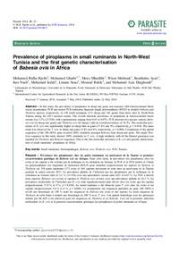 Prevalence of piroplasms in small ruminants in North-West Tunisia and the first genetic characterisation of Babesia ovis in Africa Prevalence of piroplasms in small ruminants in North-West Tunisia and the first genetic characterisation of Babesia ovis in Africa