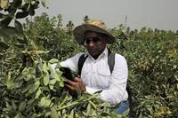 Dr. Chandrashekhar Biradar in the field