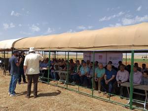 ICARDA Field day